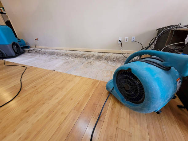 Professional Water Damage Repair technician working in Worthville, KY
